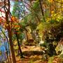 Logan County Glade SNP