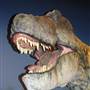 Creation Museum