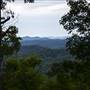 Knobs State Forest