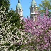 Sister of Charity of Nazareth