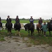 Big Red Stables