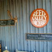 Reed Valley Orchard