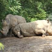 Louisville Zoo