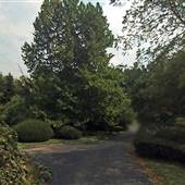 Lexington Cemetery
