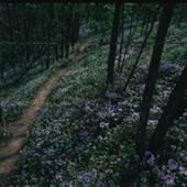 Raven Run Nature Sanctuary