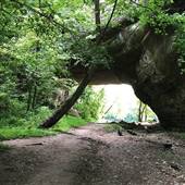 Creelsboro’s Natural Bridge – Rockhouse Bottom