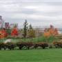 Waterfront Park