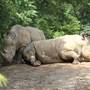 Louisville Zoo