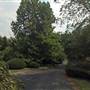 Lexington Cemetery