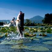 Fishtrap Lake