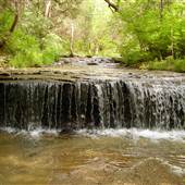 Prospect Parks and Waterfall