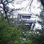 Tater Knob Fire Tower
