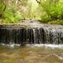 Prospect Parks and Waterfall
