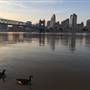 City Scapes
