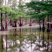 Sloughs Wildlife Management