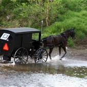 Amish in Kentucky