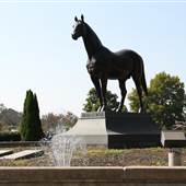 Kentucky Horse Park