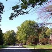 Beechwood Village