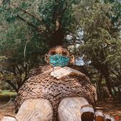 Bernheim Arboretum & Research Forest