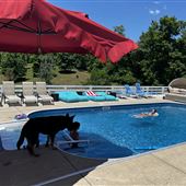 Blue Skies at Big Bone