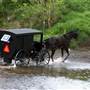 Amish in Kentucky