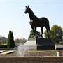 Kentucky Horse Park