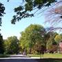 Beechwood Village