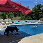 Blue Skies at Big Bone